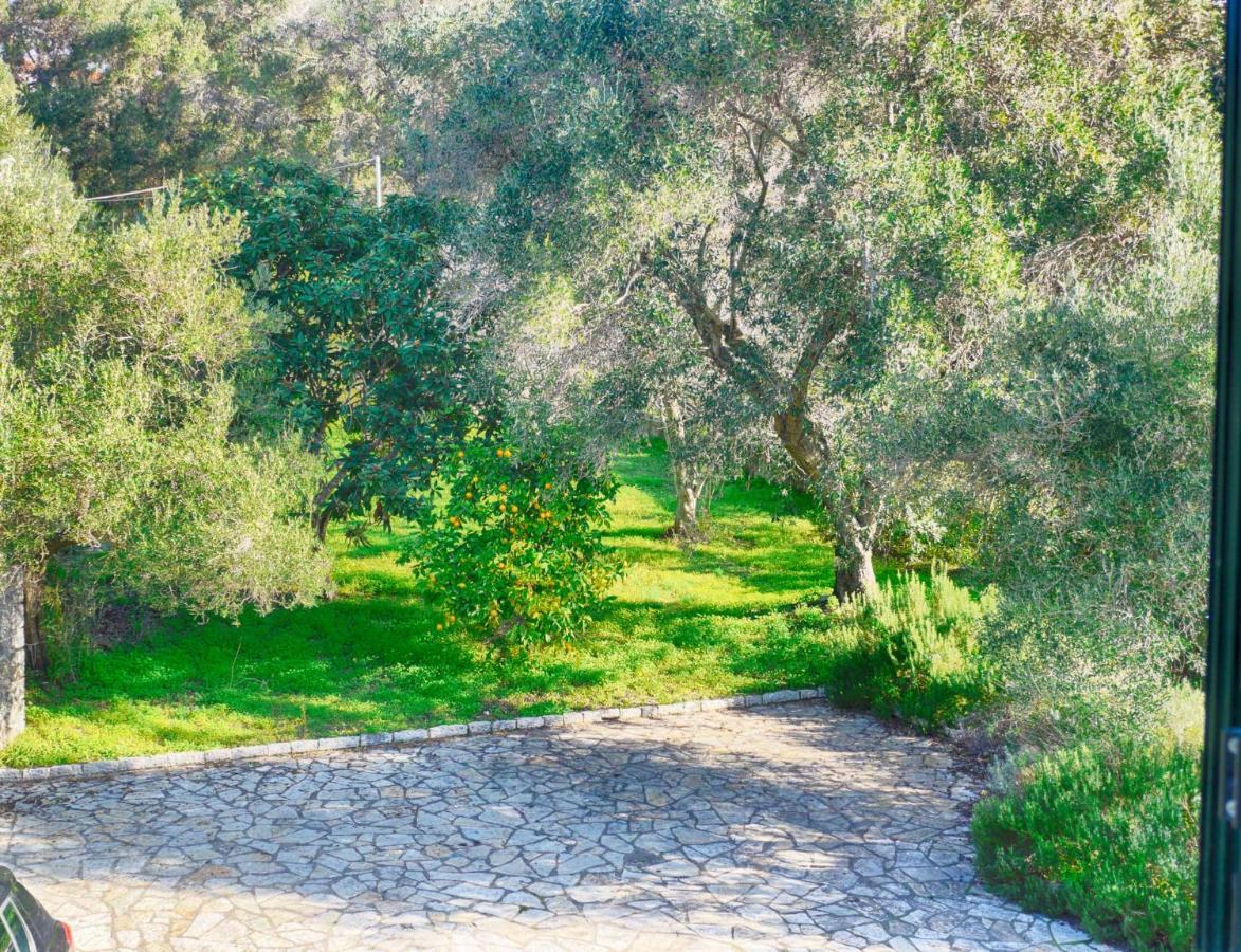Villa Afionas - 3 Minutes From The Beach With Heated Eco-Pool And Sunset View מראה חיצוני תמונה